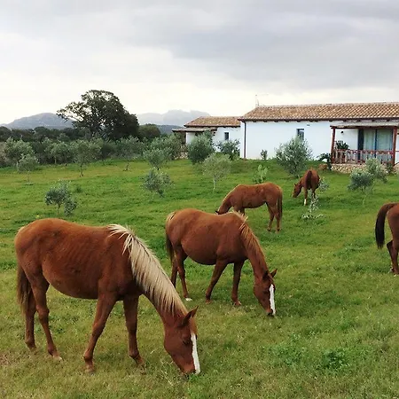 Agriturismo Mieleamaro Lantgård Olbia