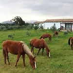 Agriturismo Mieleamaro Alloggio per agriturismo Olbia