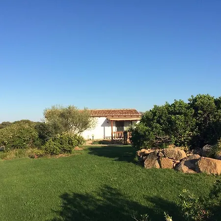 Agriturismo Mieleamaro أولبيا