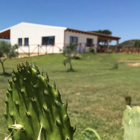 Agriturismo Mieleamaro Alojamento de Turismo Rural Olbia