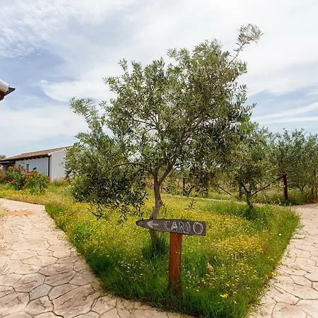 Agriturismo Mieleamaro Gospodarstwo agroturystyczne